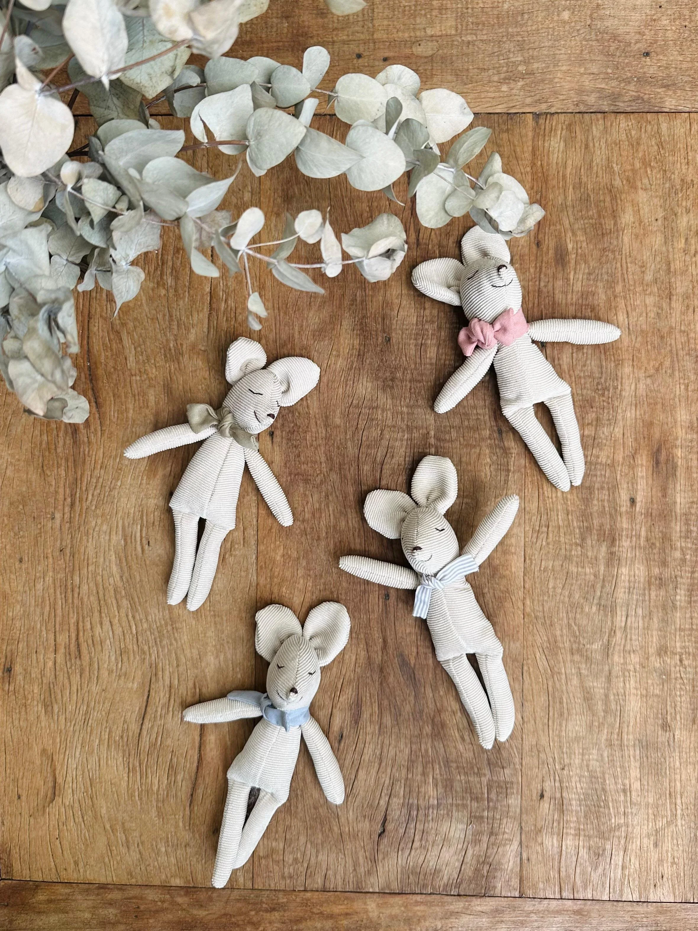 WhatsApp Image 2026-02-10 at 15.39.05.jpeg