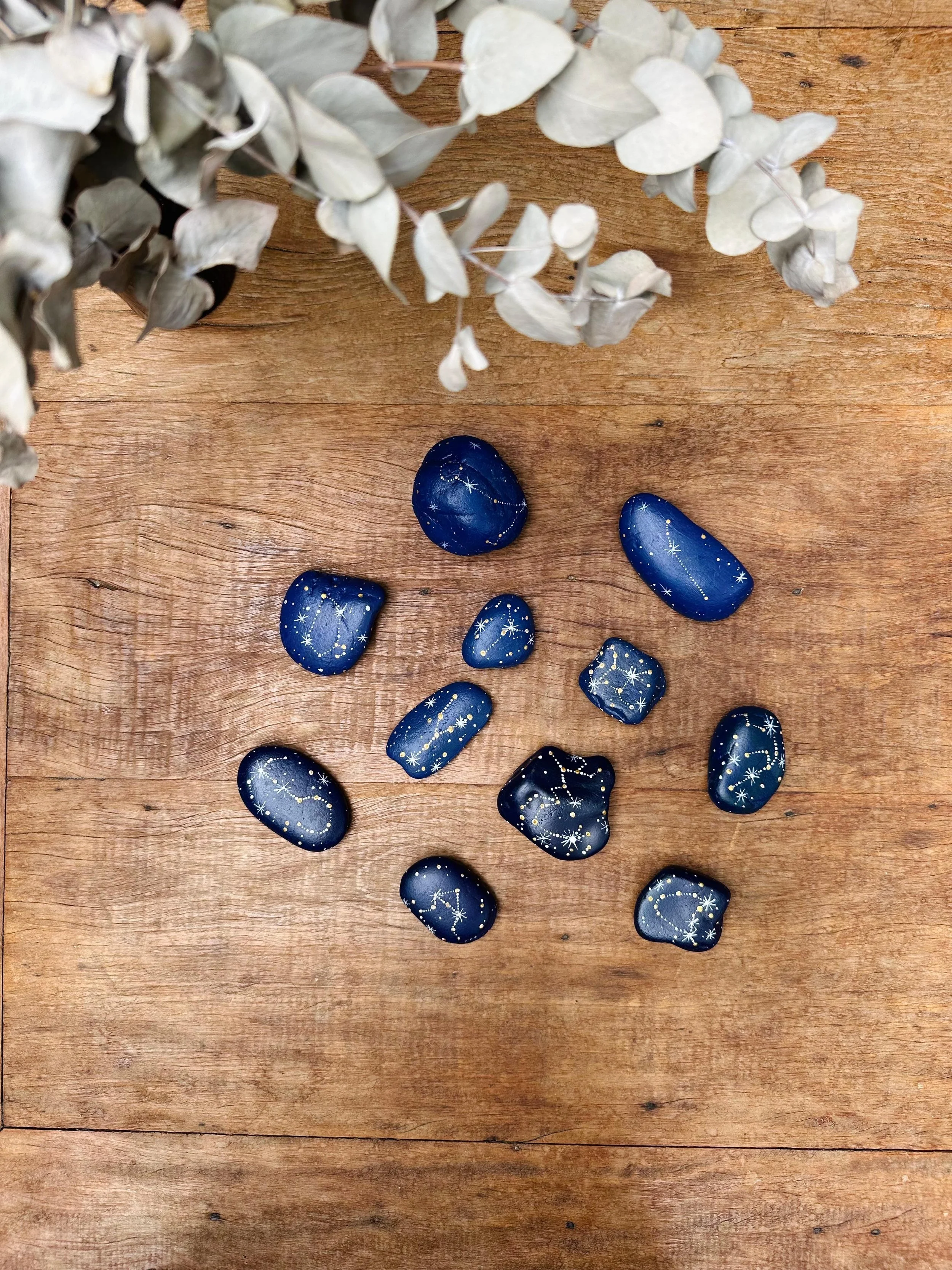 WhatsApp Image 2026-02-10 at 15.40.32.jpeg