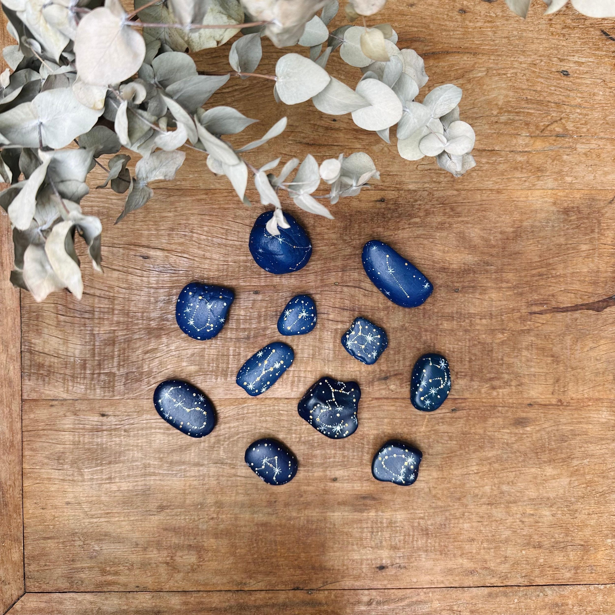 WhatsApp Image 2026-02-10 at 15.40.33.jpeg