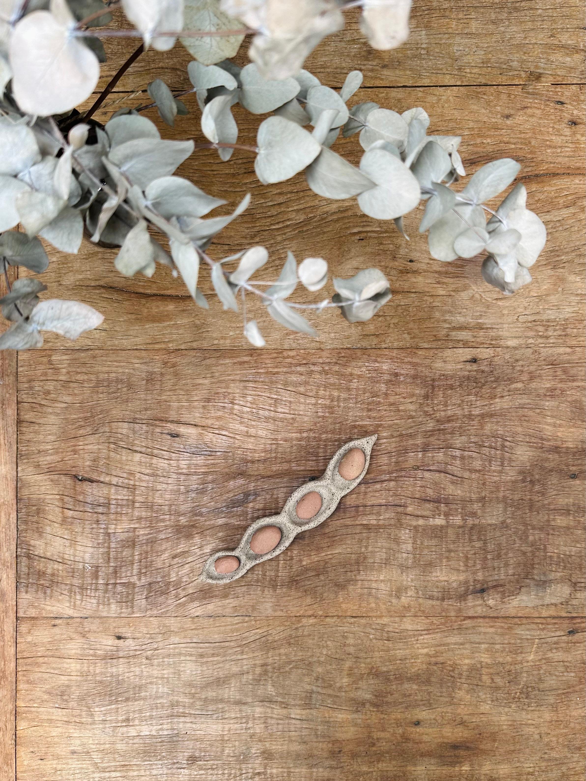 WhatsApp Image 2026-02-12 at 15.19.26-3.jpeg