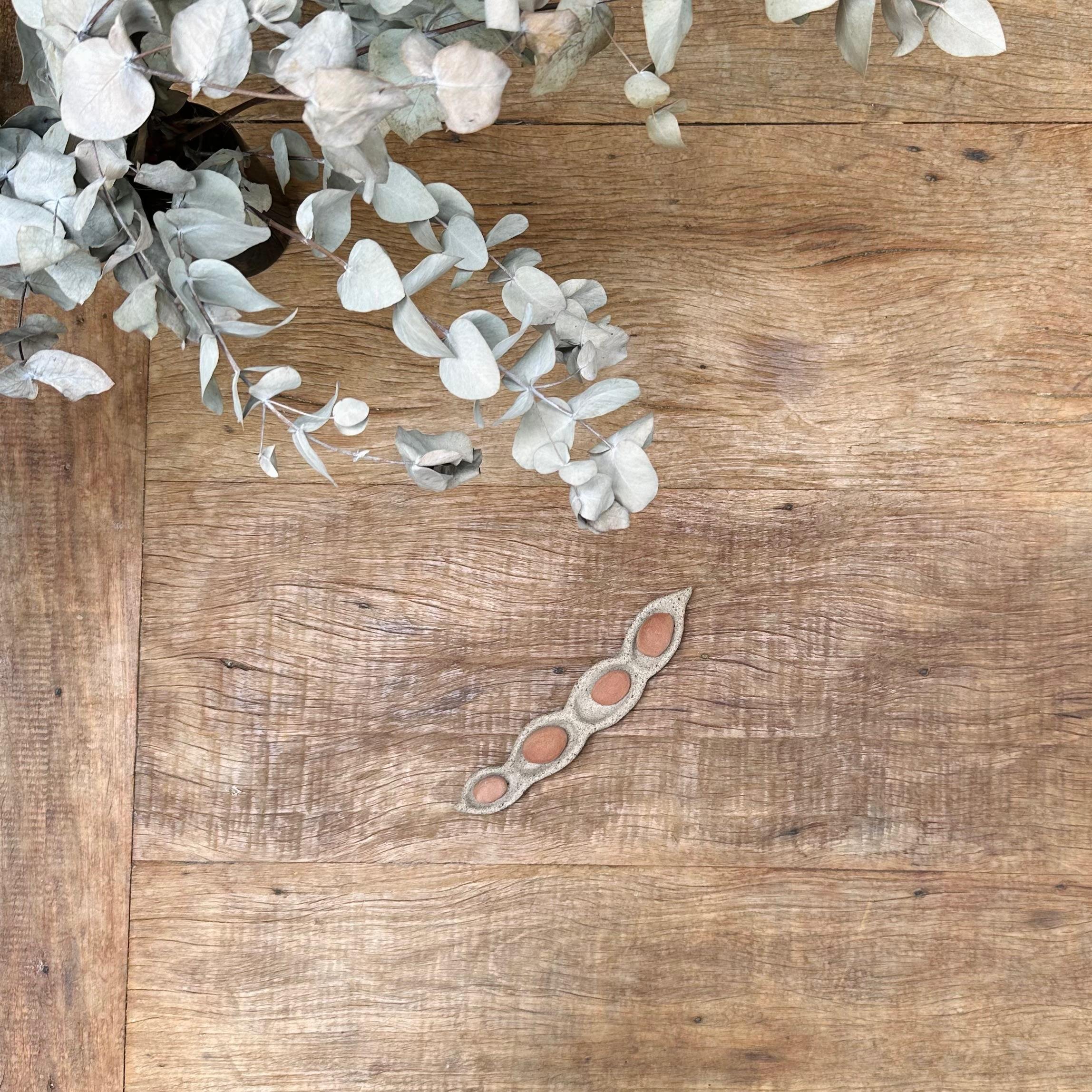 WhatsApp Image 2026-02-12 at 15.19.26.jpeg