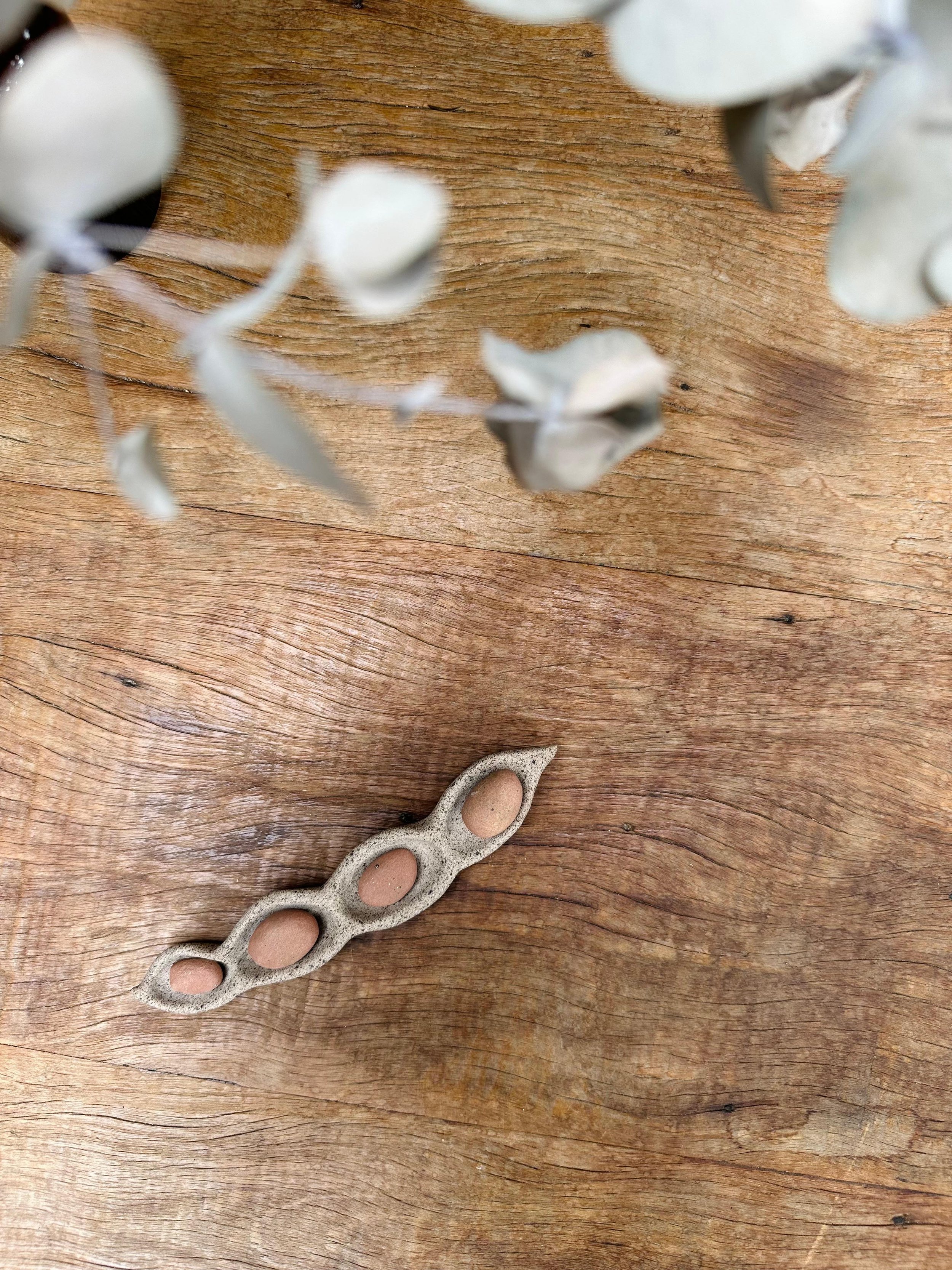 WhatsApp Image 2026-02-12 at 15.19.26-4.jpeg