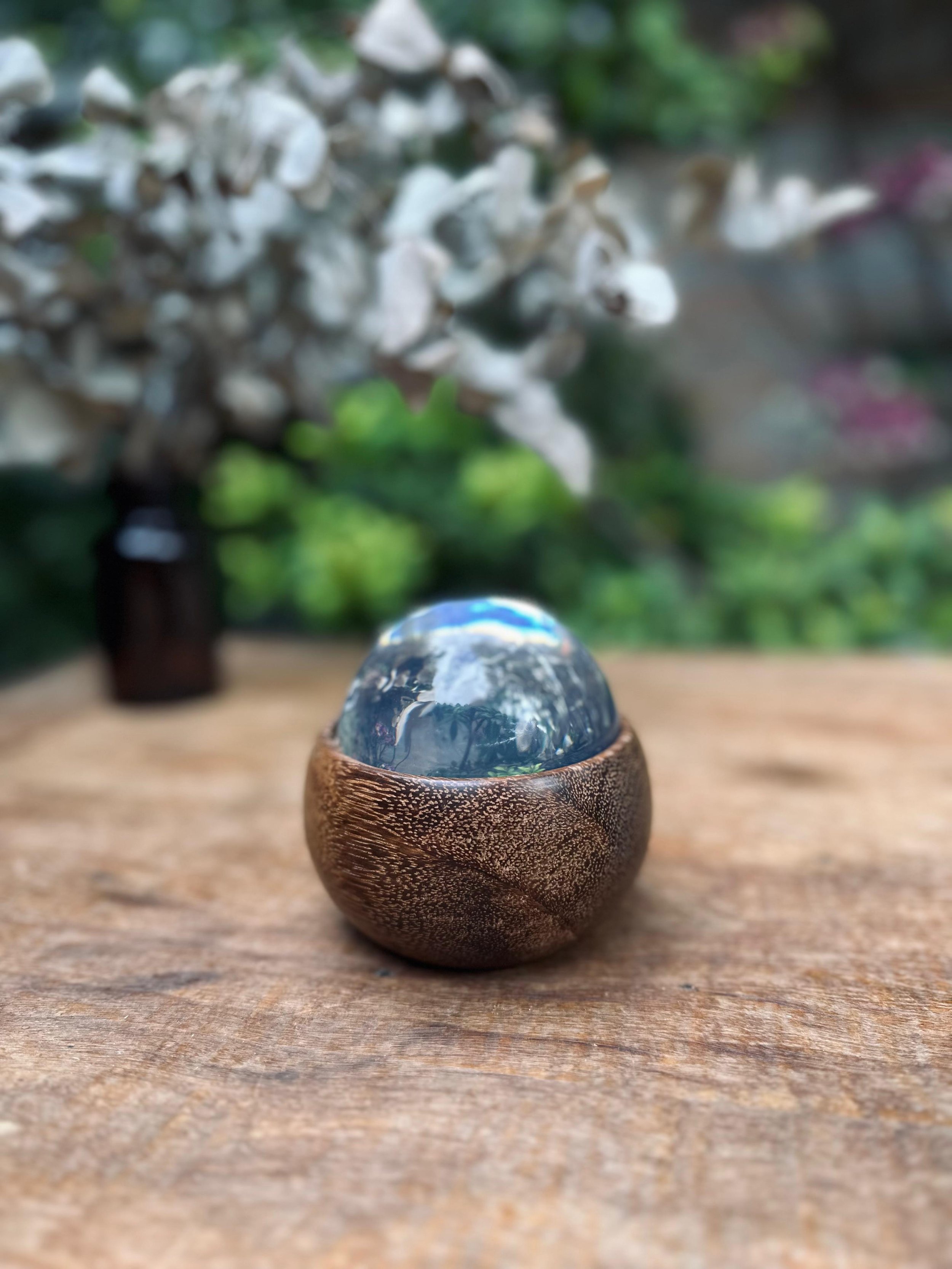 WhatsApp Image 2026-02-12 at 17.12.22-3.jpeg