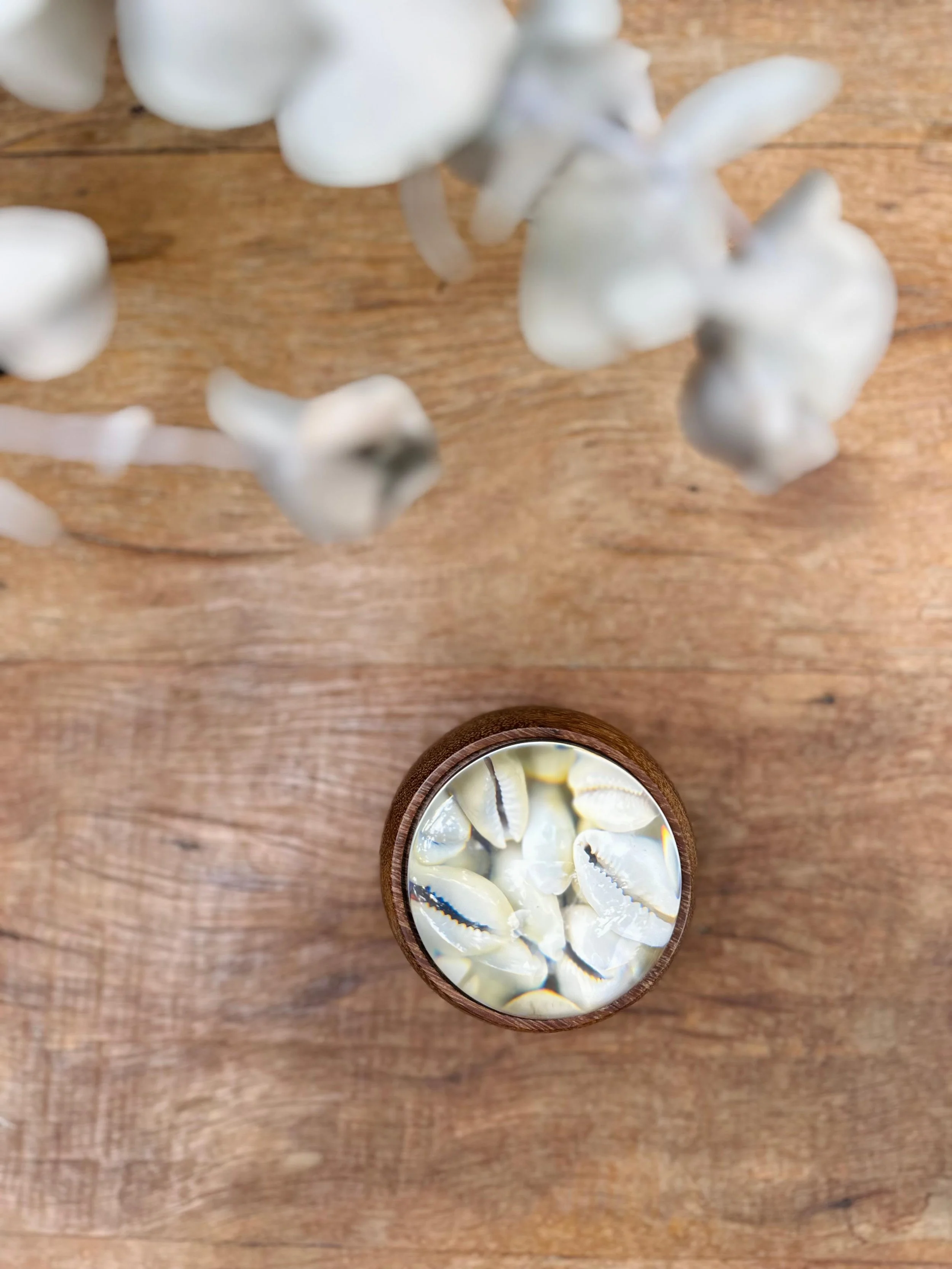 WhatsApp Image 2026-02-12 at 17.12.22-4.jpeg