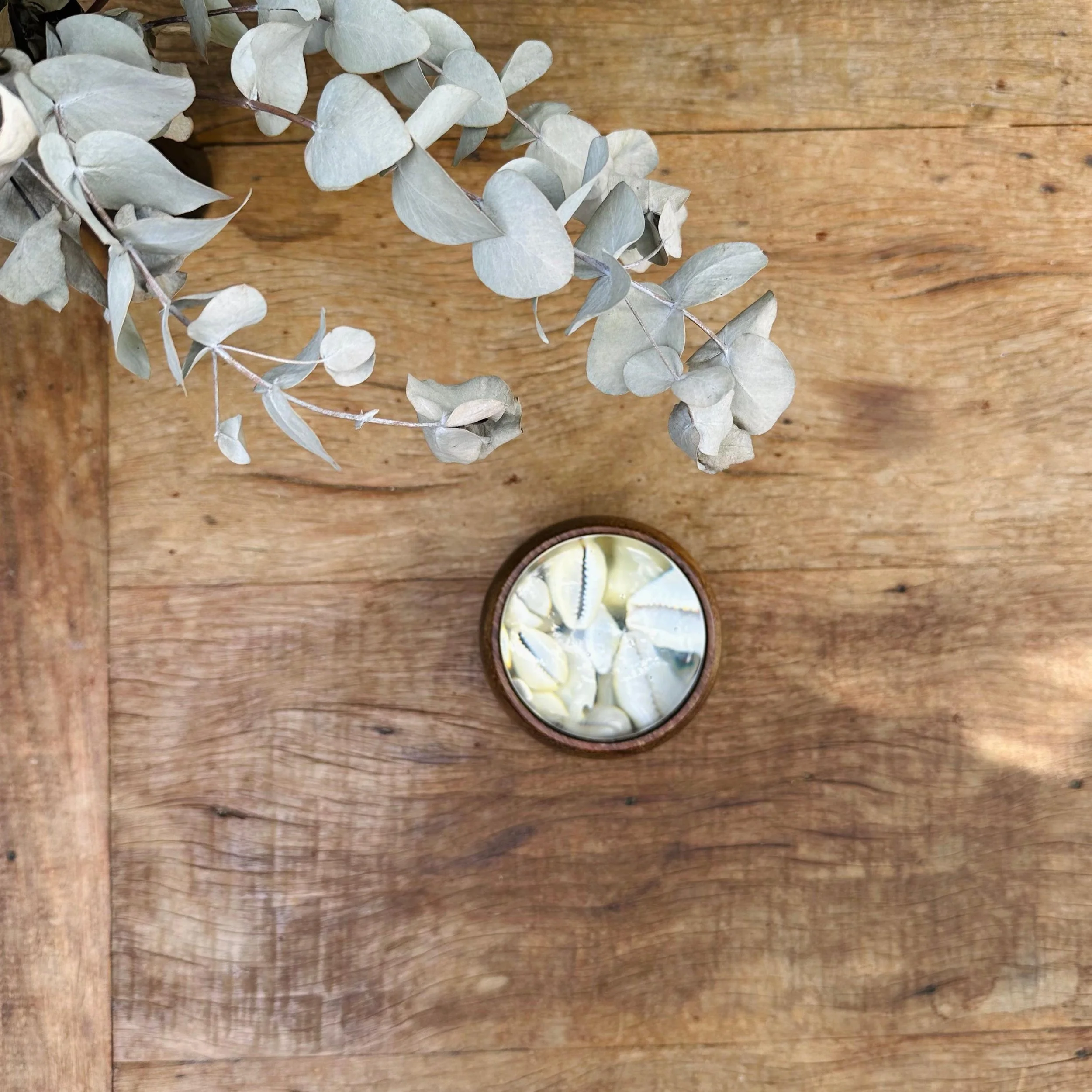 WhatsApp Image 2026-02-12 at 17.12.22.jpeg