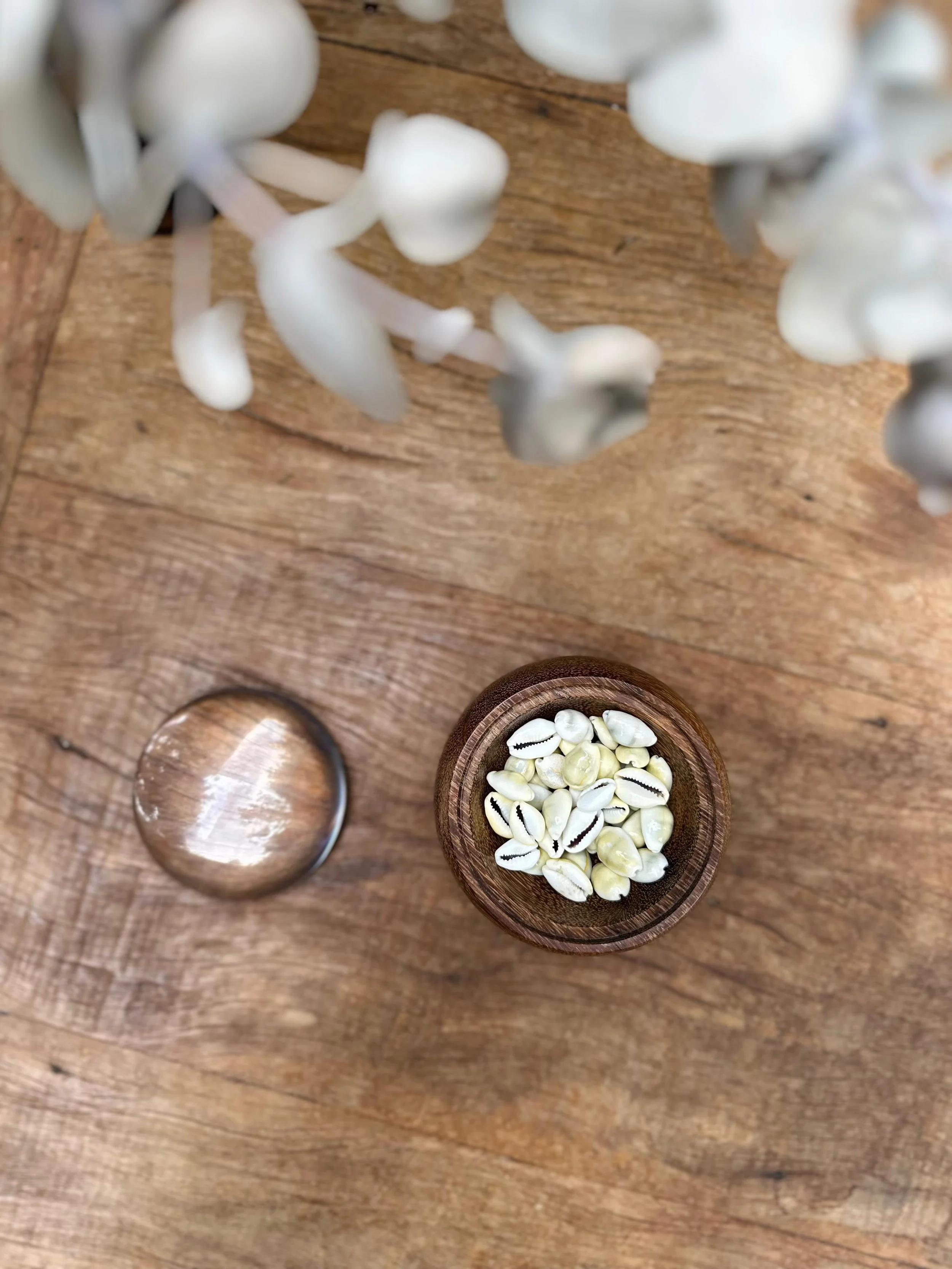 WhatsApp Image 2026-02-12 at 17.12.23.jpeg