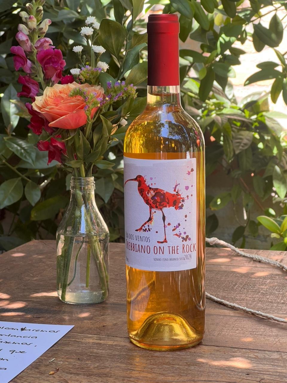 WhatsApp Image 2026-03-16 at 11.52.56-4.jpeg