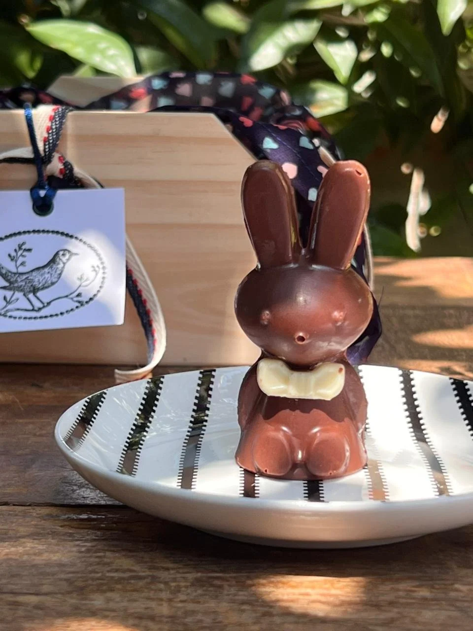 WhatsApp Image 2026-03-16 at 12.27.22.jpeg