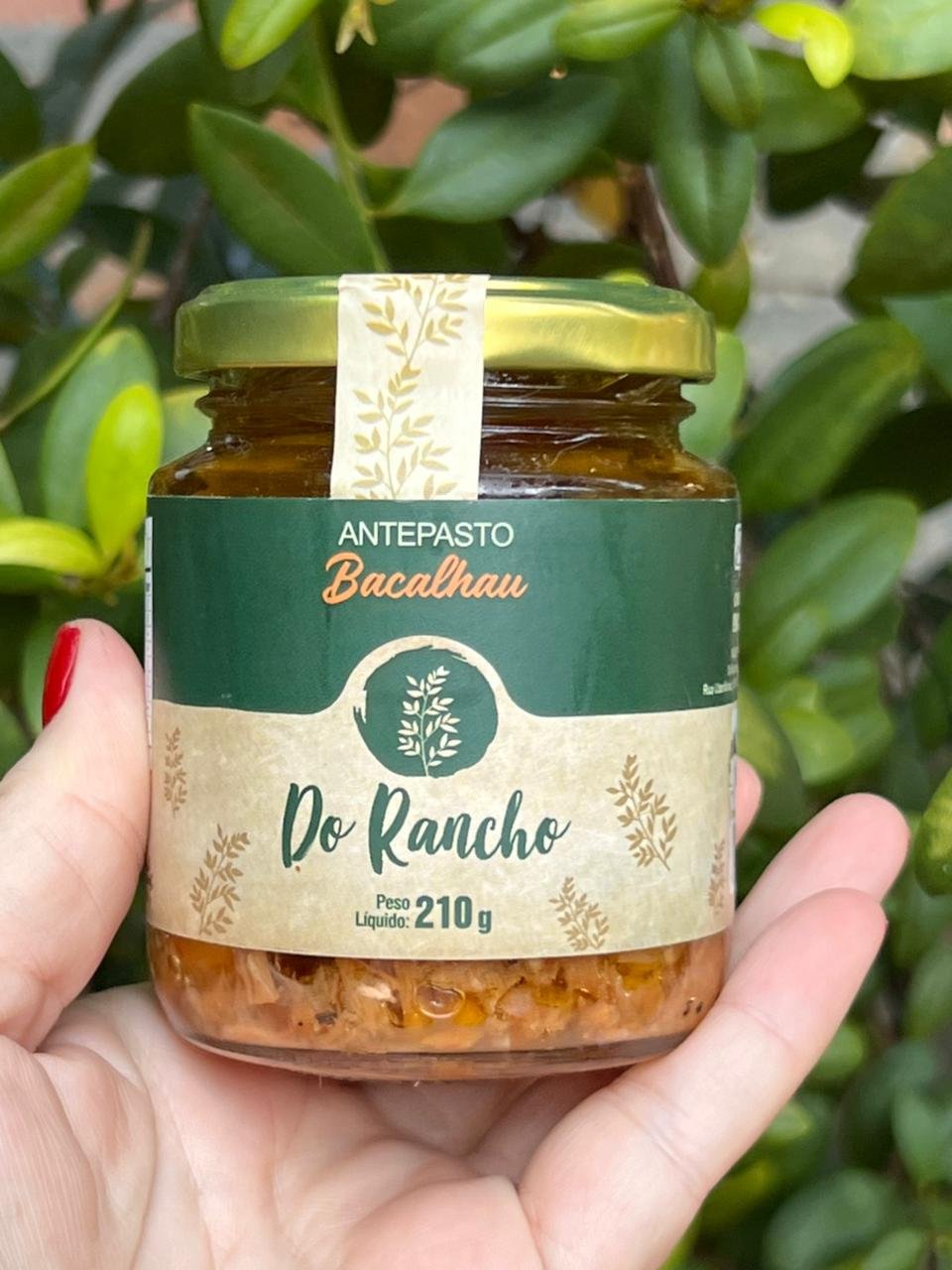 WhatsApp Image 2026-03-16 at 14.41.04.jpeg