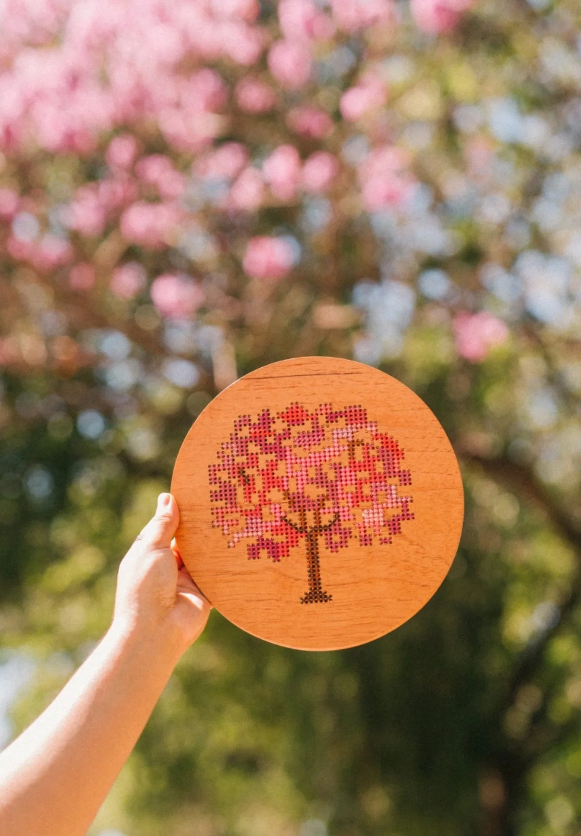 Catálogo ESTUDIO CERRADO_ABUP 2026_page-0027.jpg