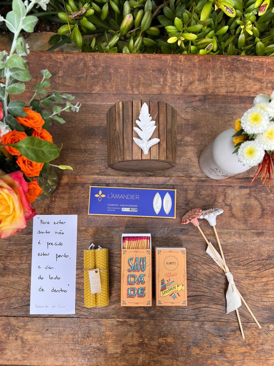 WhatsApp Image 2026-04-28 at 11.10.44 - cópia.jpeg