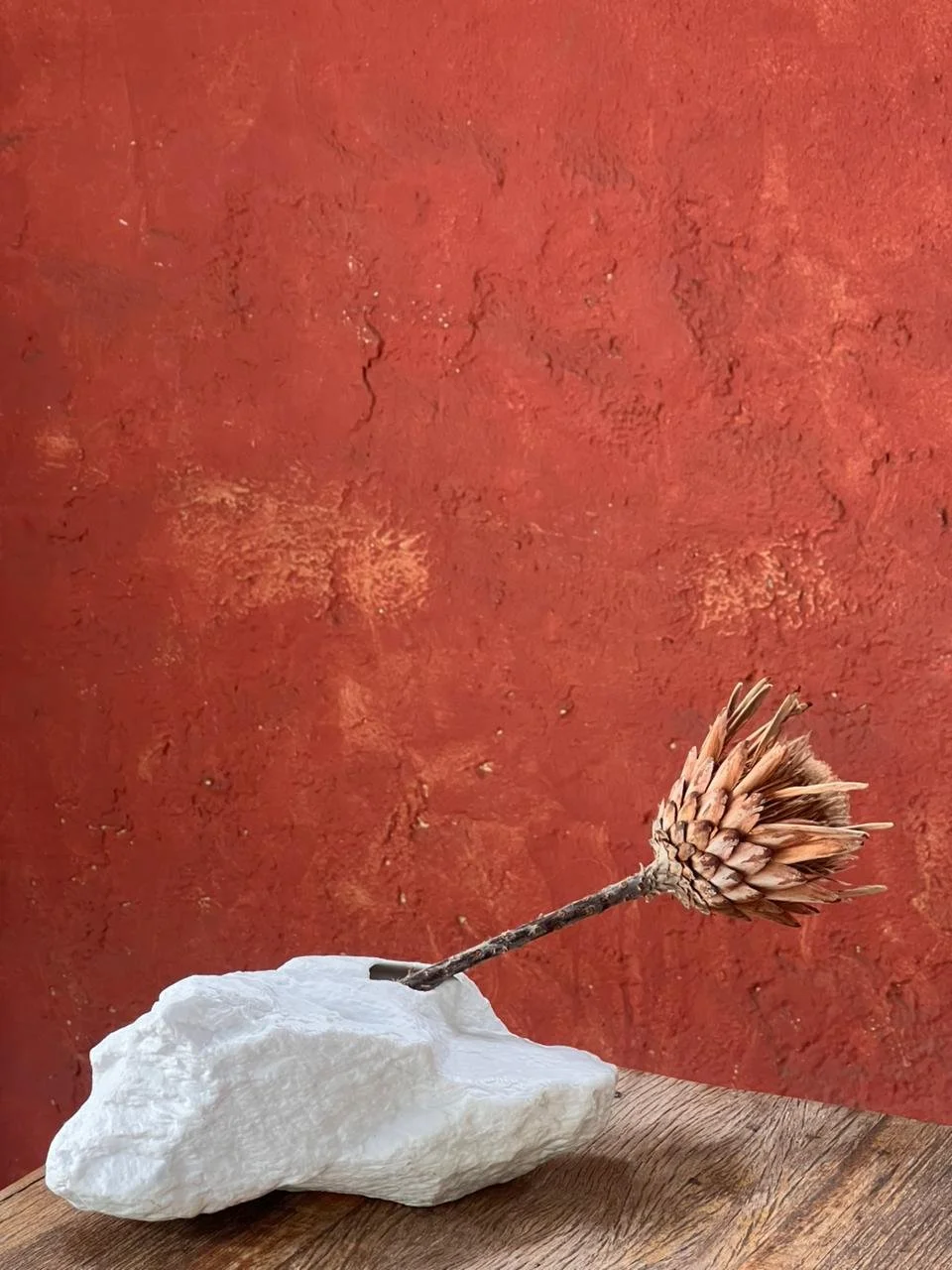 WhatsApp Image 2026-04-28 at 13.39.48.jpeg