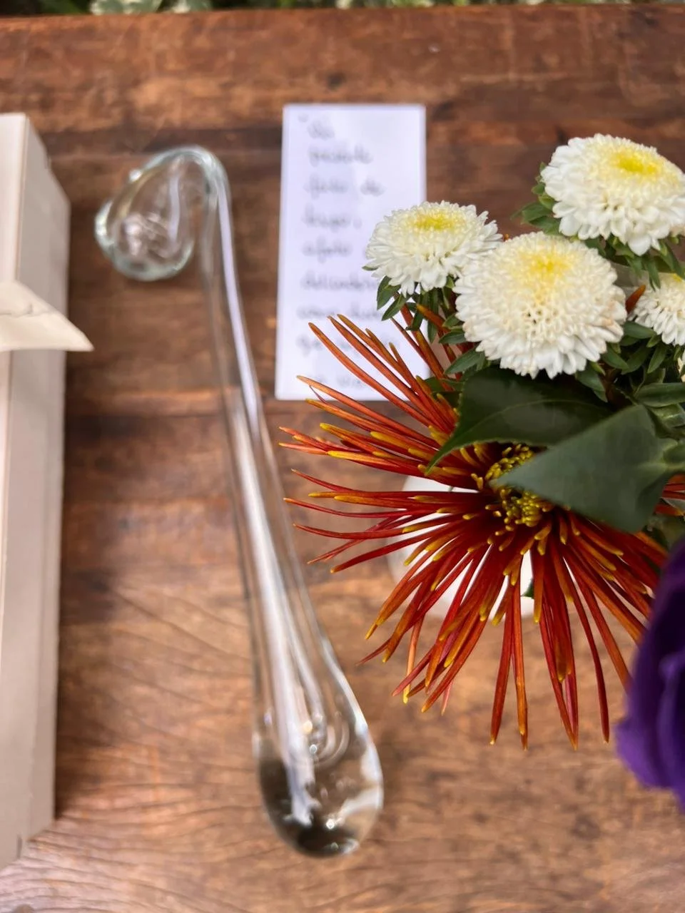 WhatsApp Image 2026-04-28 at 13.43.18-3.jpeg