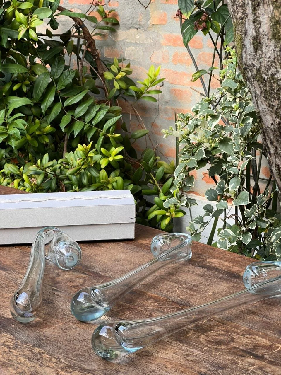 WhatsApp Image 2026-04-28 at 13.43.18.jpeg