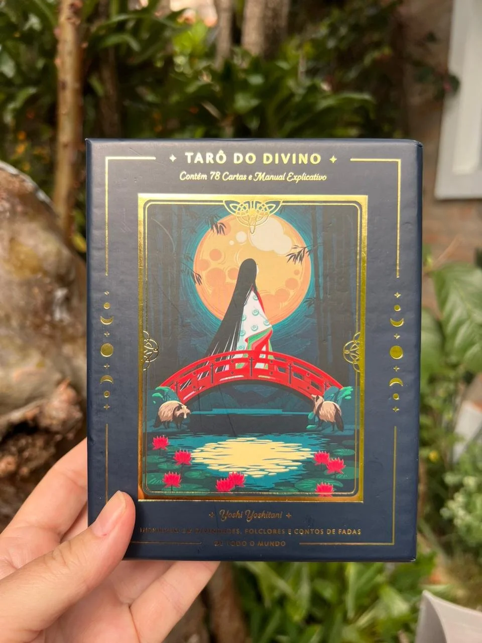 WhatsApp Image 2026-04-28 at 16.03.11-3.jpeg