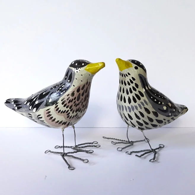 birds grey 1.jpg