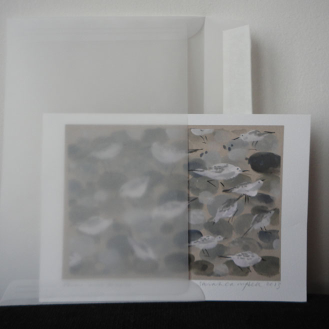 Limited_Prints_Plovers_envelopes.jpg