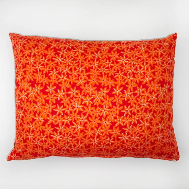 starflowers orange.jpg