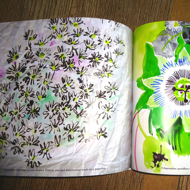 news-sarah-campbell-designs