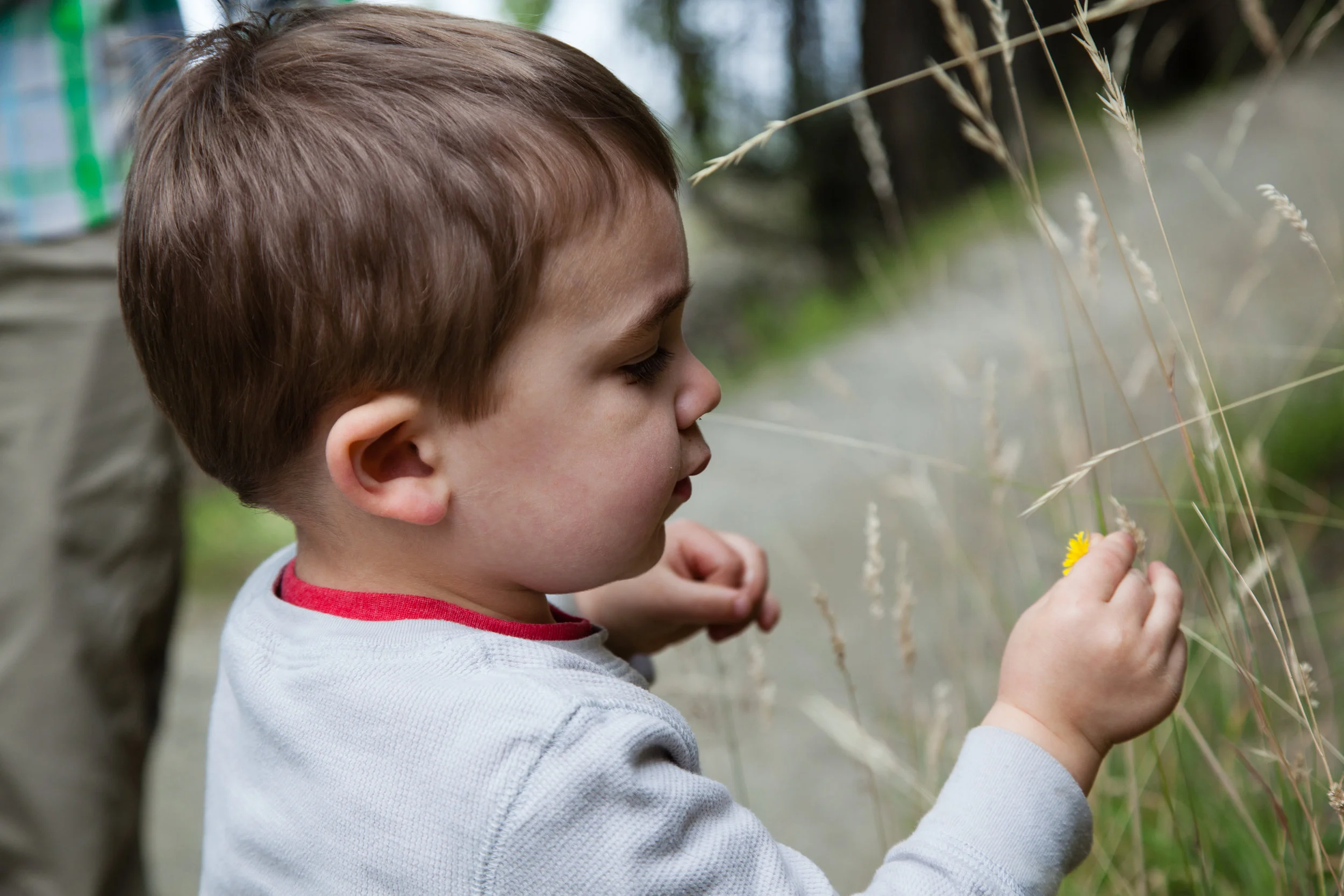 Stopping to smell the flowers. 