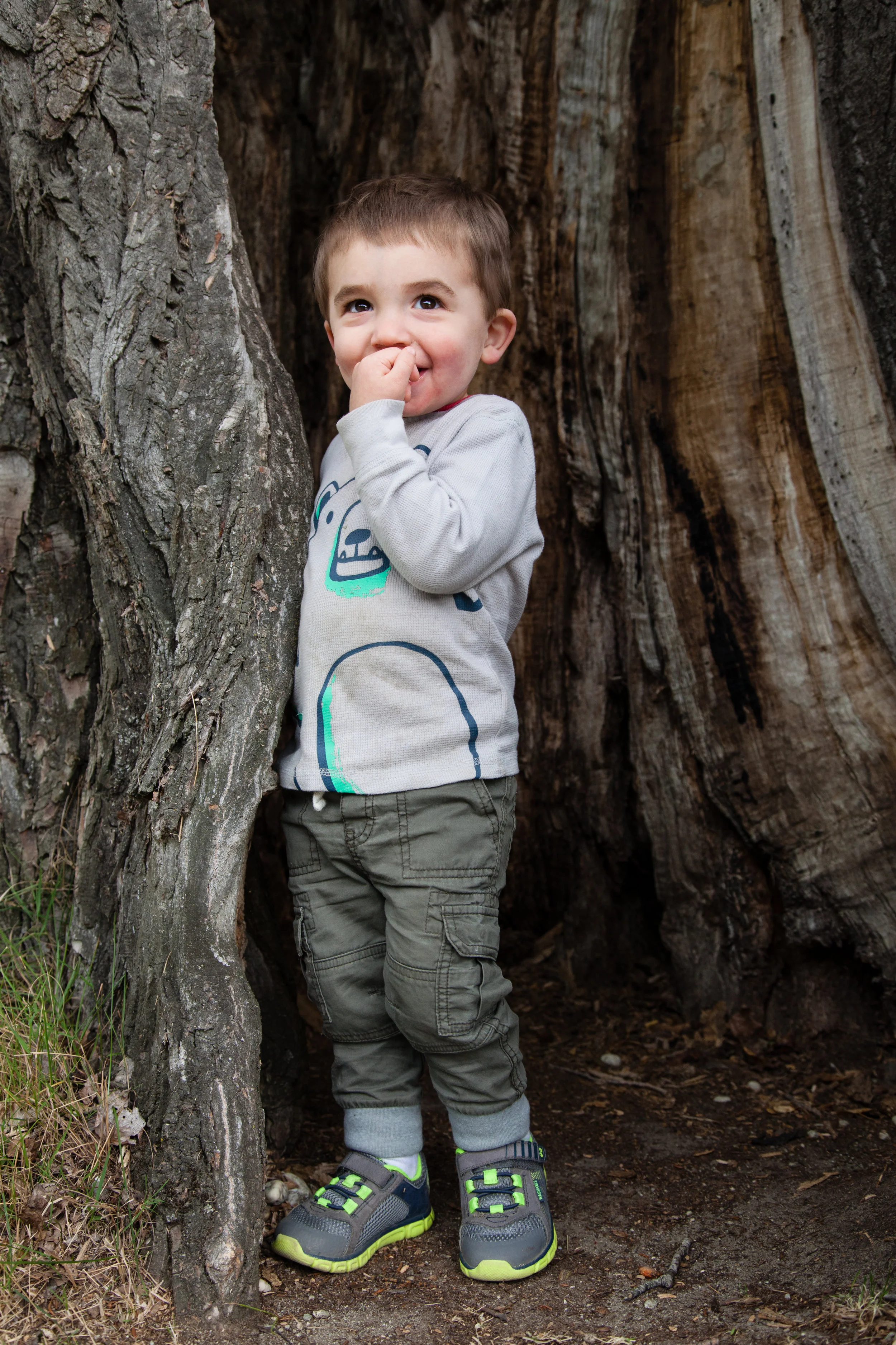 Found a hollow tree! 
