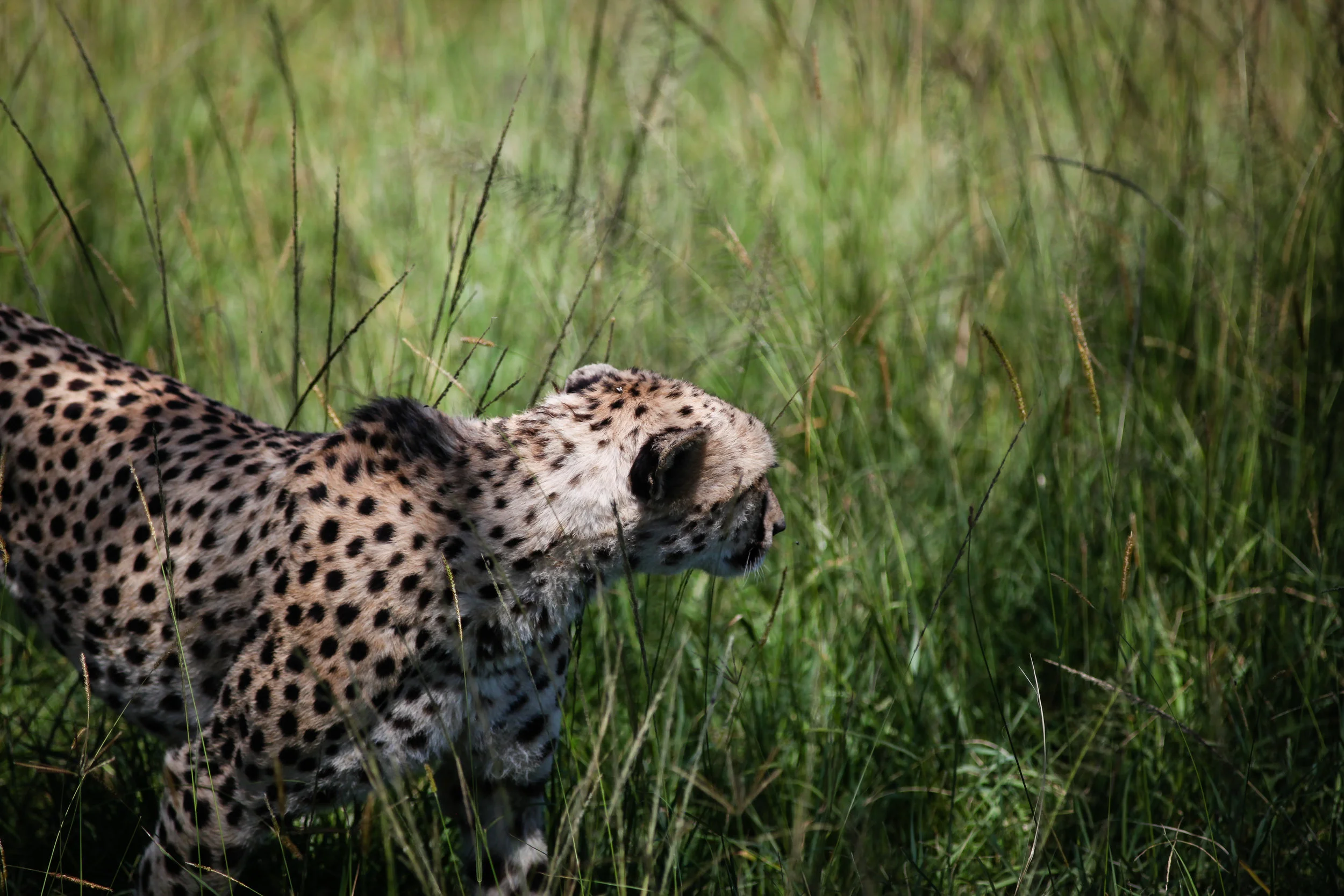 africa14-009.JPG