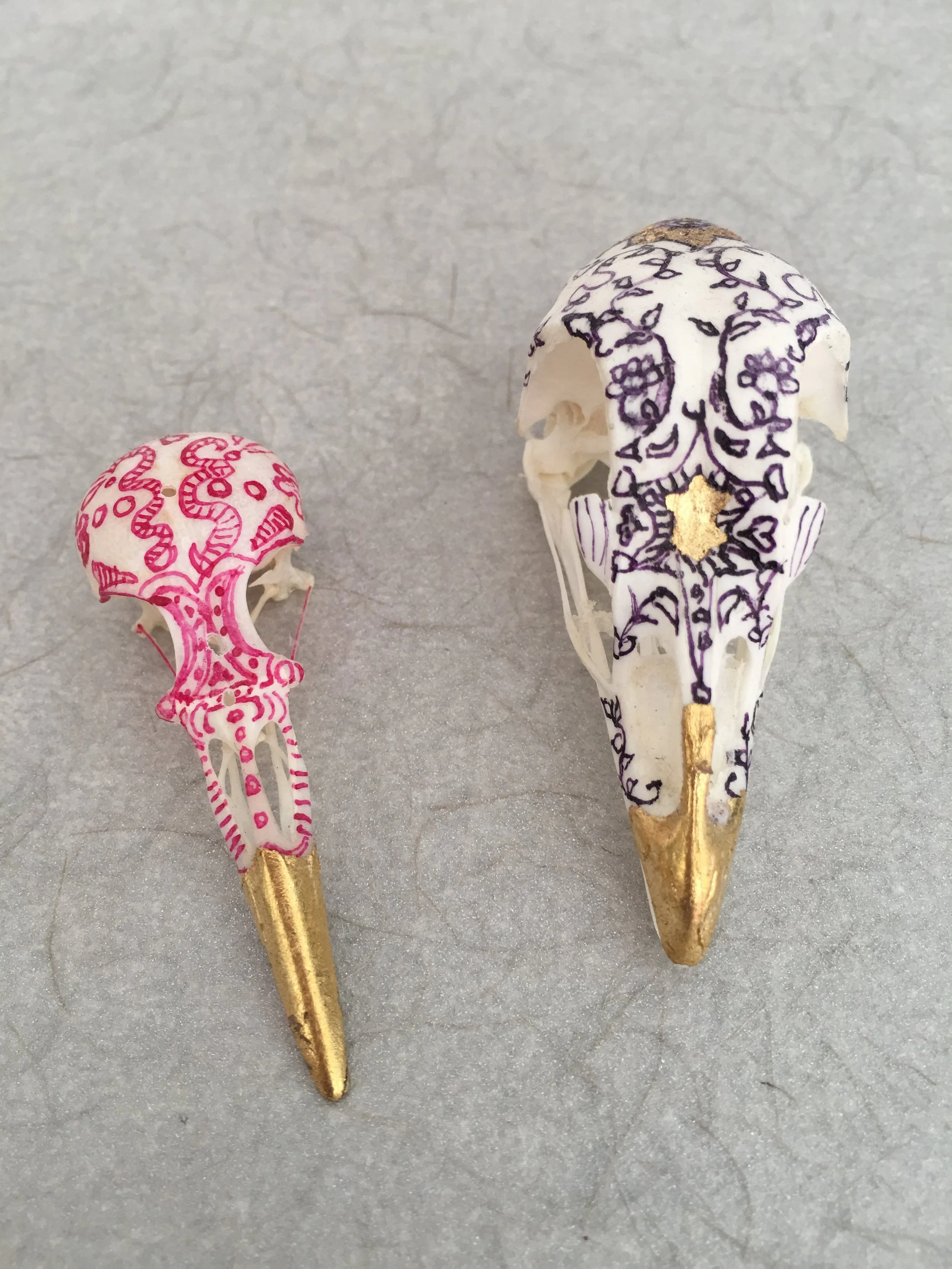 bird skulls ink.JPG