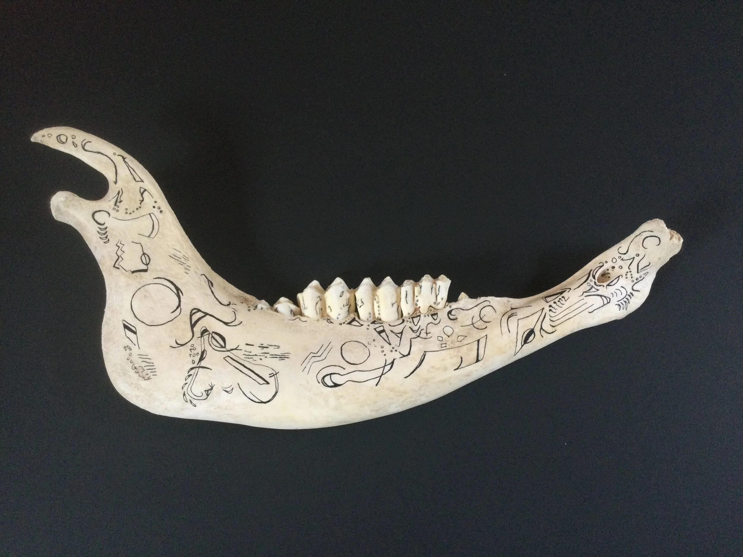 Bone with black ink