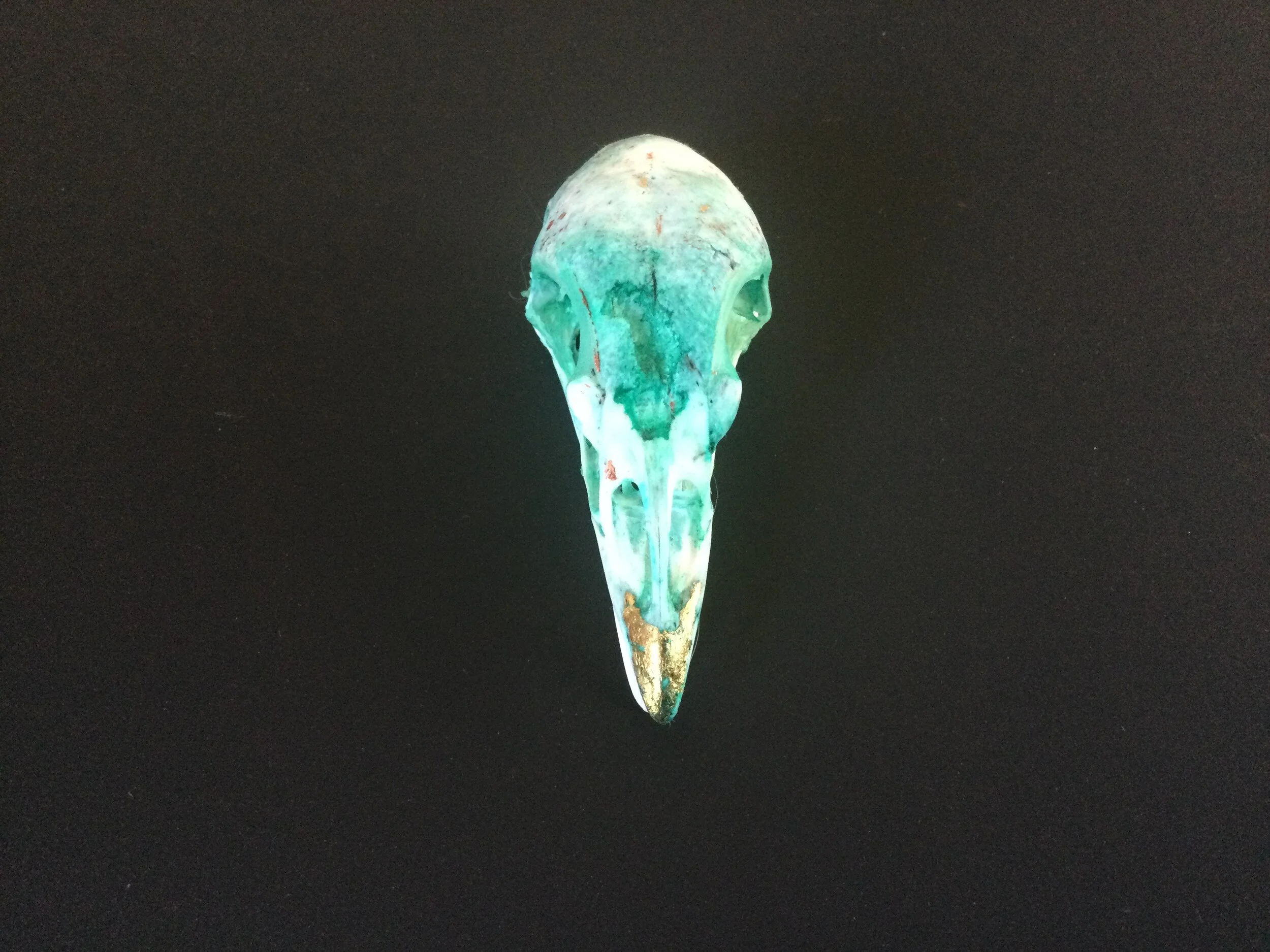 Birdskull with turquoise ink wash