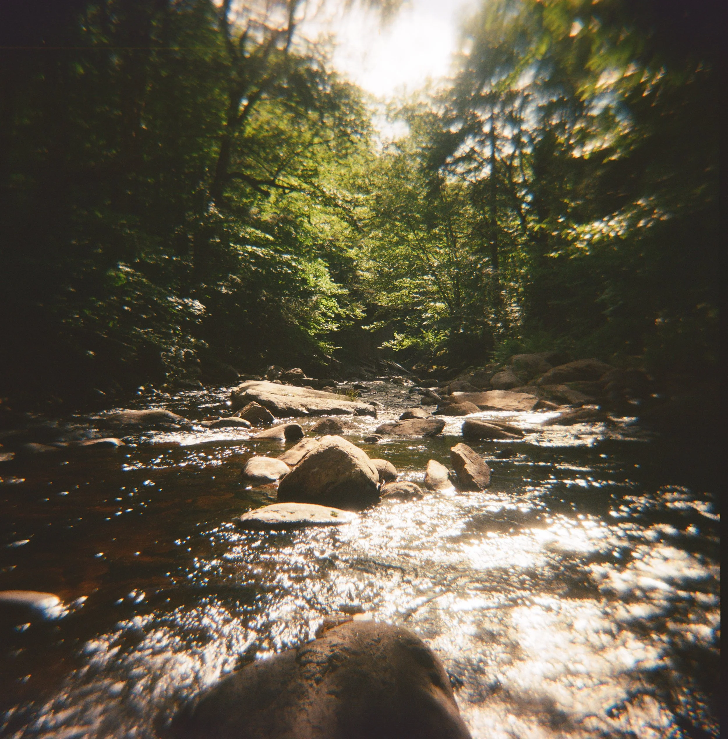 81610006.JPG