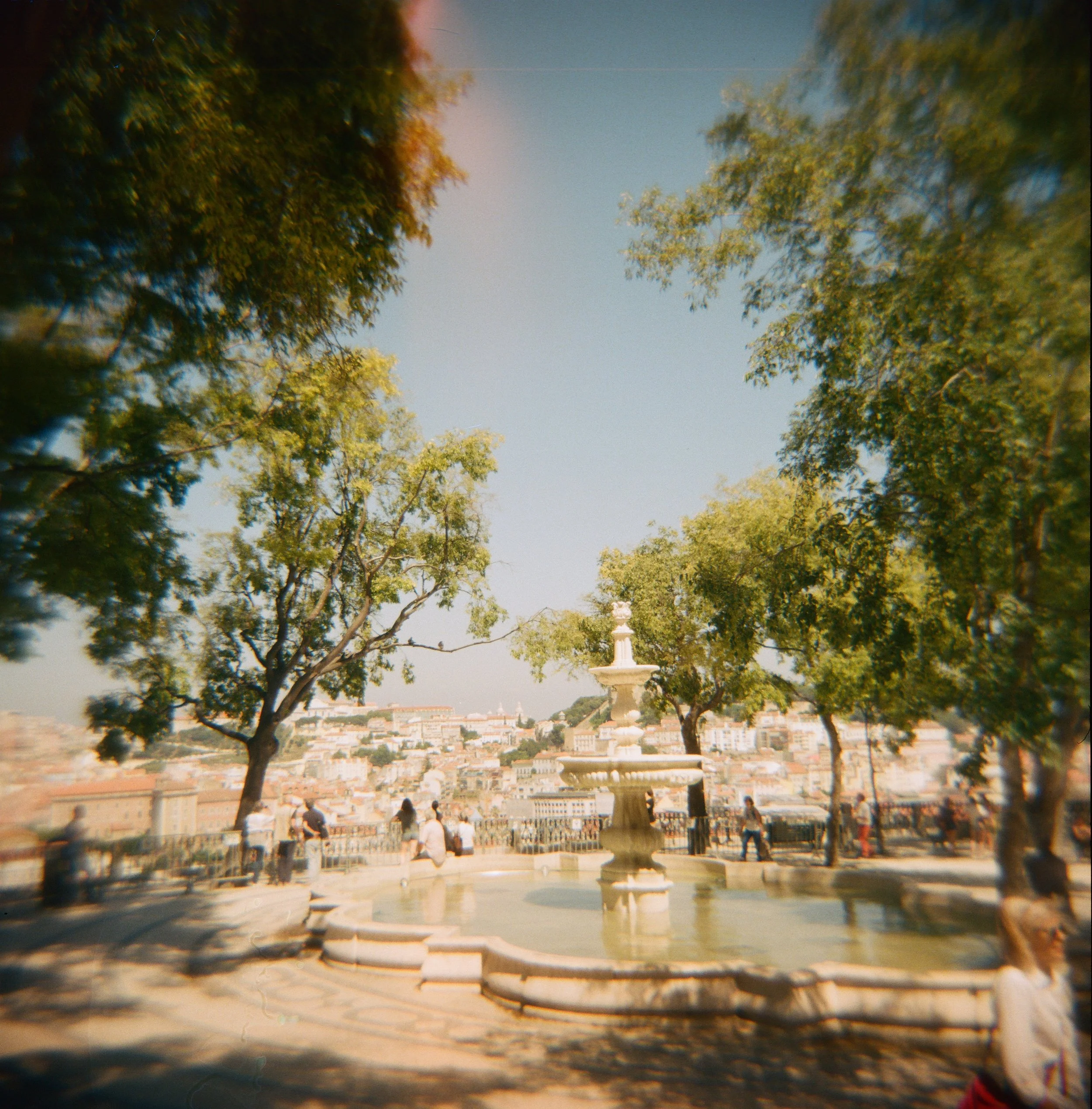 81610008.JPG