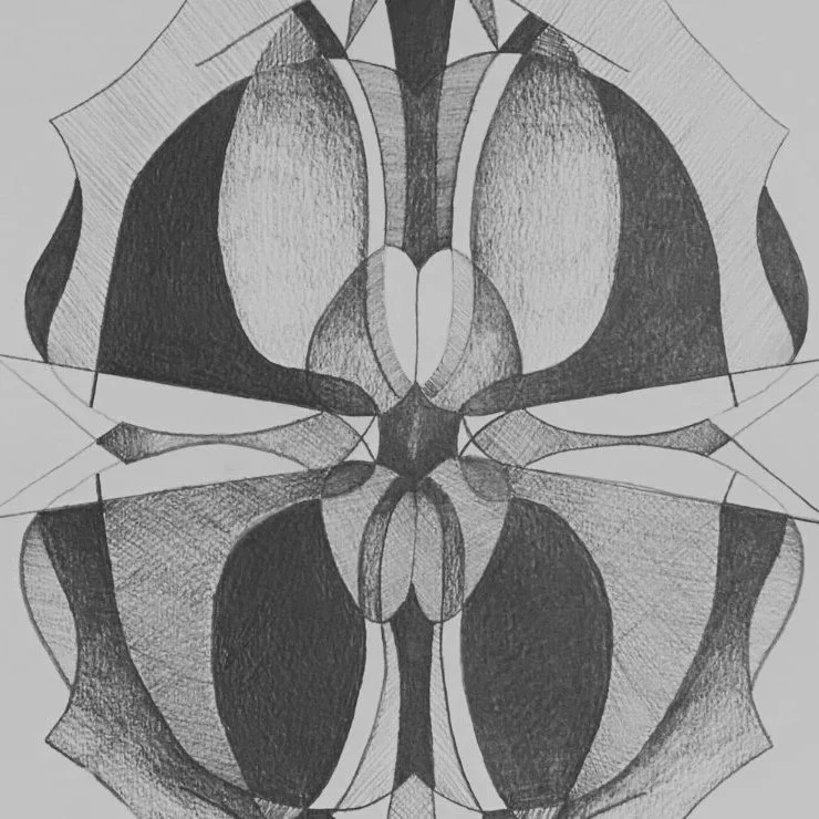 Graphite drawing of a kudzu flower blossom as an alien-form, by artist Sève Favre