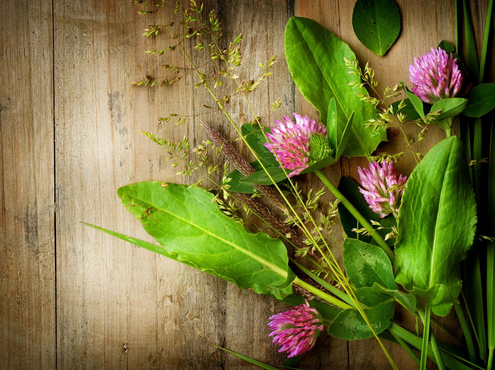 Introduction to Herbal Remedies
