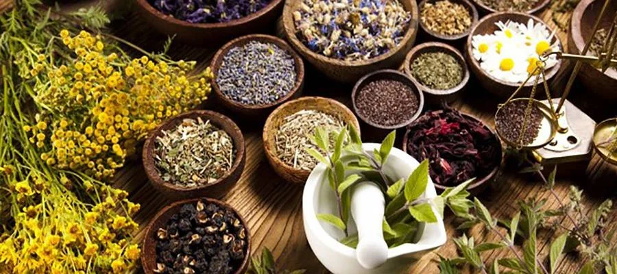 Ayurveda Wellness for Fall