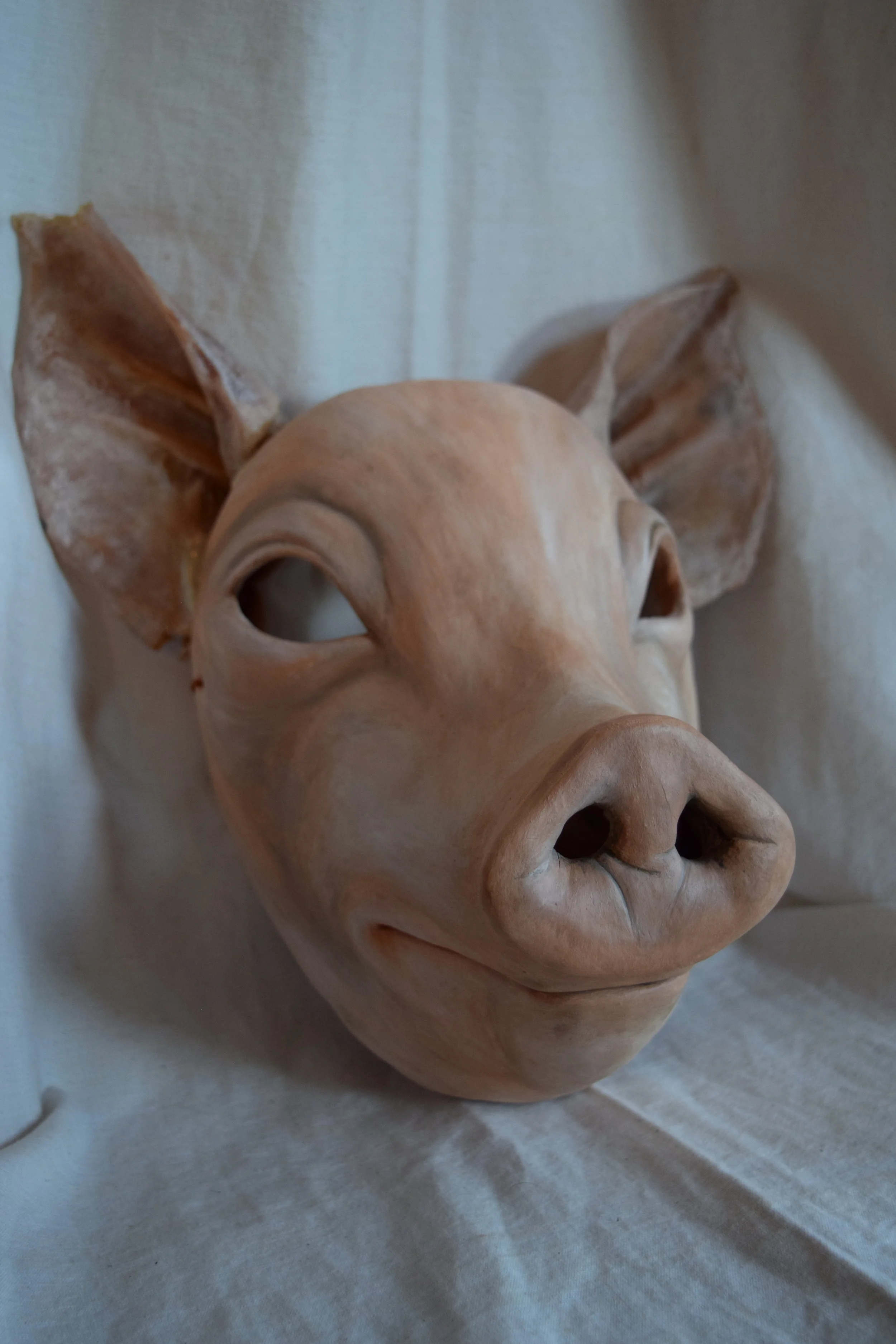 Hog, 2015. Clay, leathered pig ears, acrylic Sold