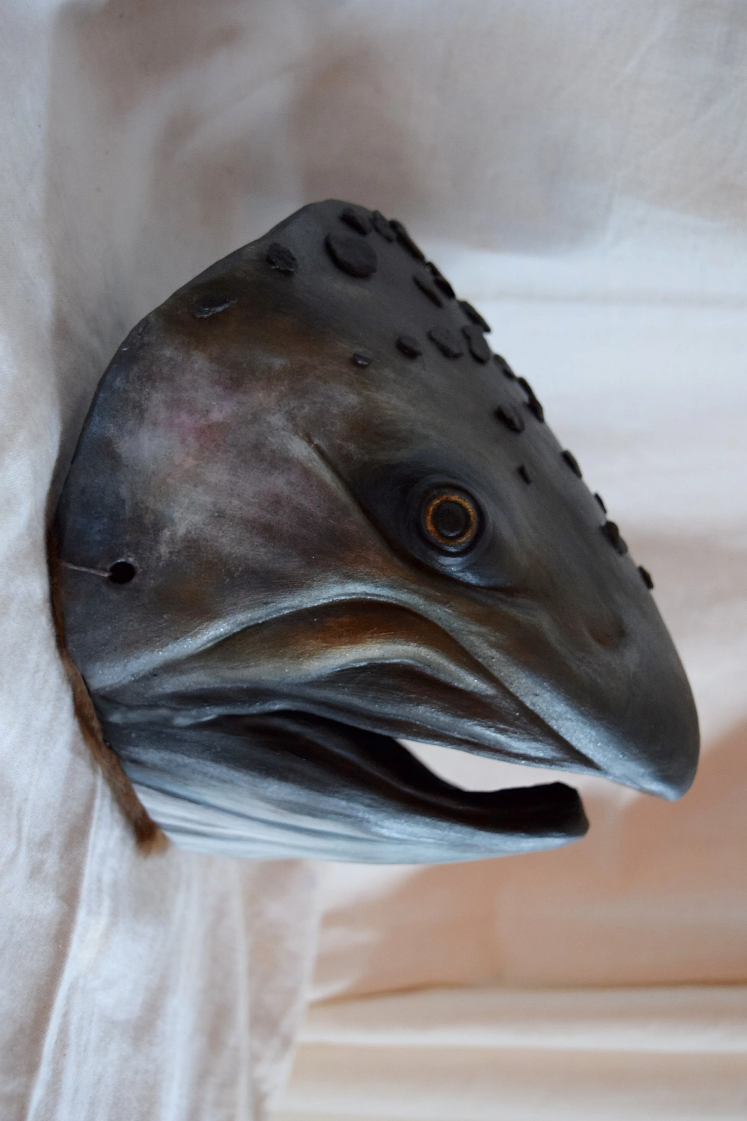 Coho Salmon, 2015. Clay, Lagunitas Creek stones, acrylic Sold