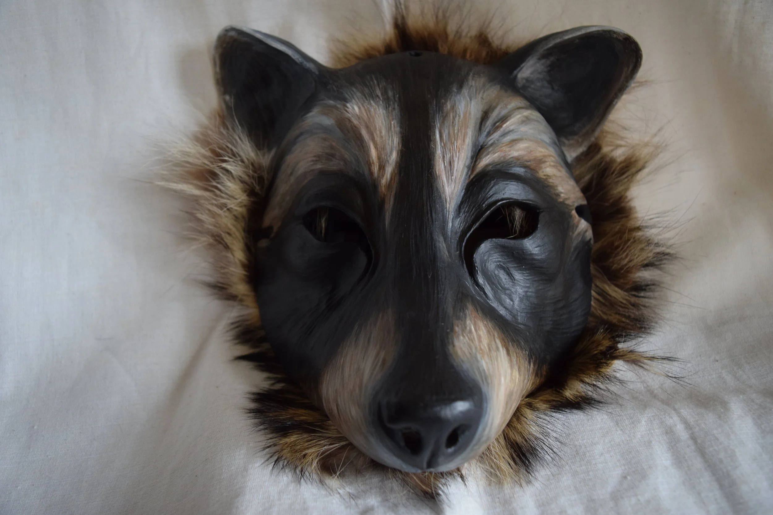 Raccoon, 2015. Clay, roadkill raccoon hide, acrylic Sold