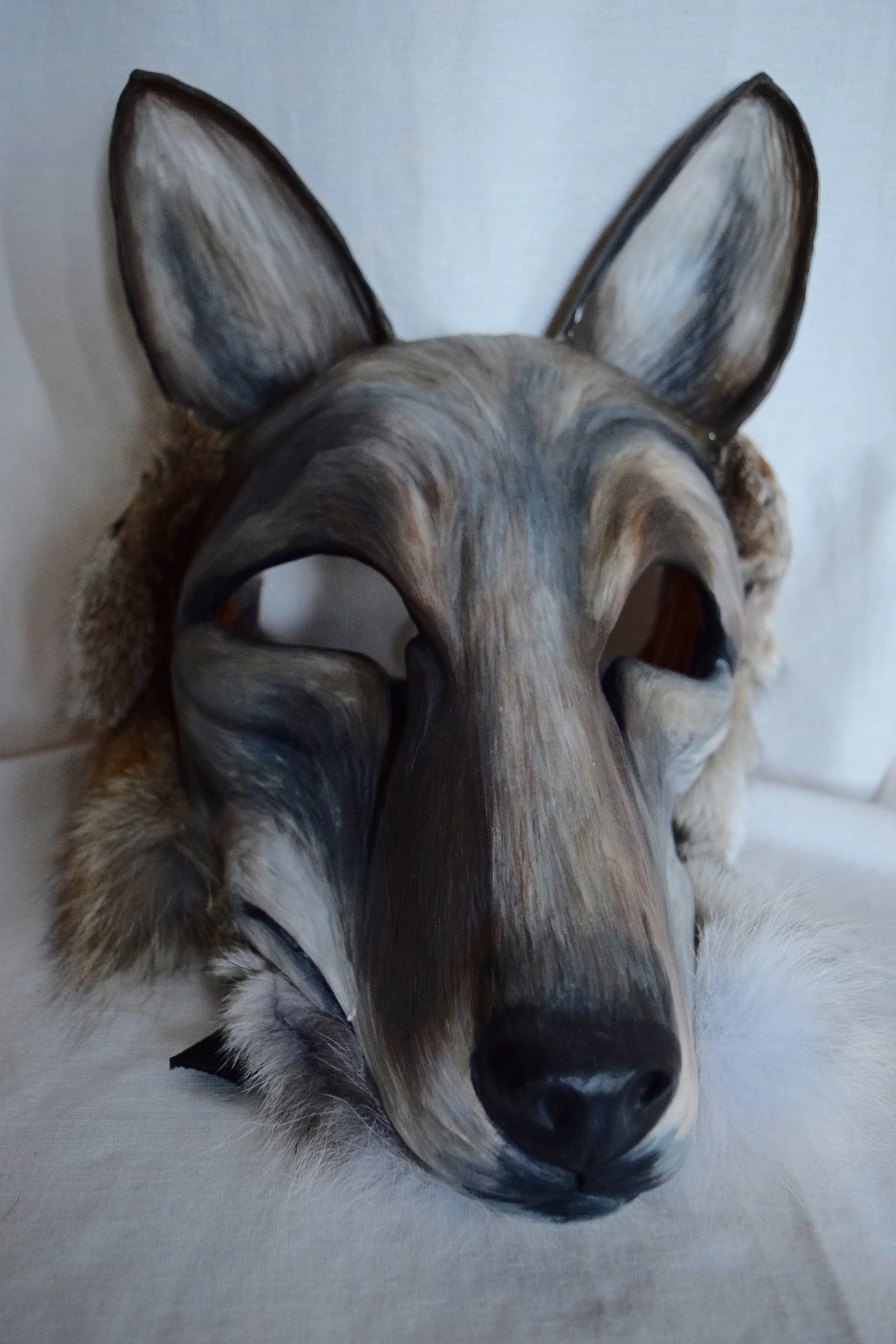 Coyote, 2015. Clay, roadkill coyote hide, acrylic