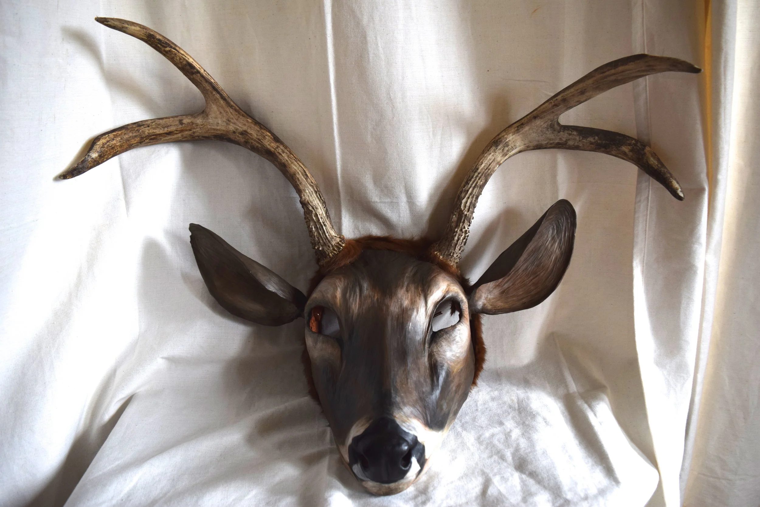 Buck, 2015. Clay, deer antler, hide, acrylic