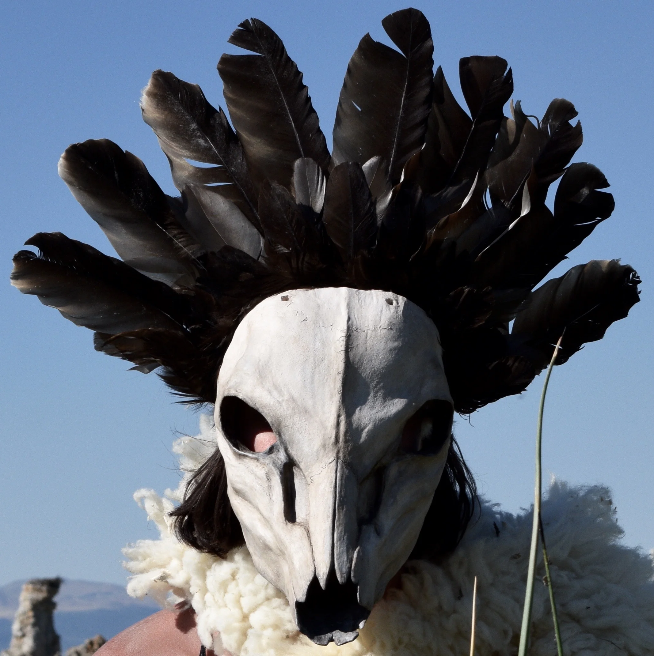 Desert Dream, 2016. Clay, rabbit hide, roadkill turkey vulture feather, acrylic