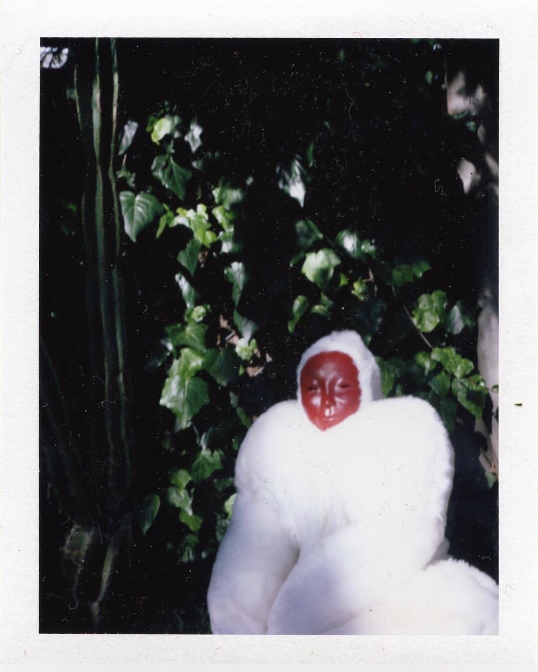  Ceramic mask, aerosol paint, faux fur body suit. Polaroid Photo: Dalton Townsend. Concept, Costume Design and Seamstress: Rachel Pozivenec. 2019 