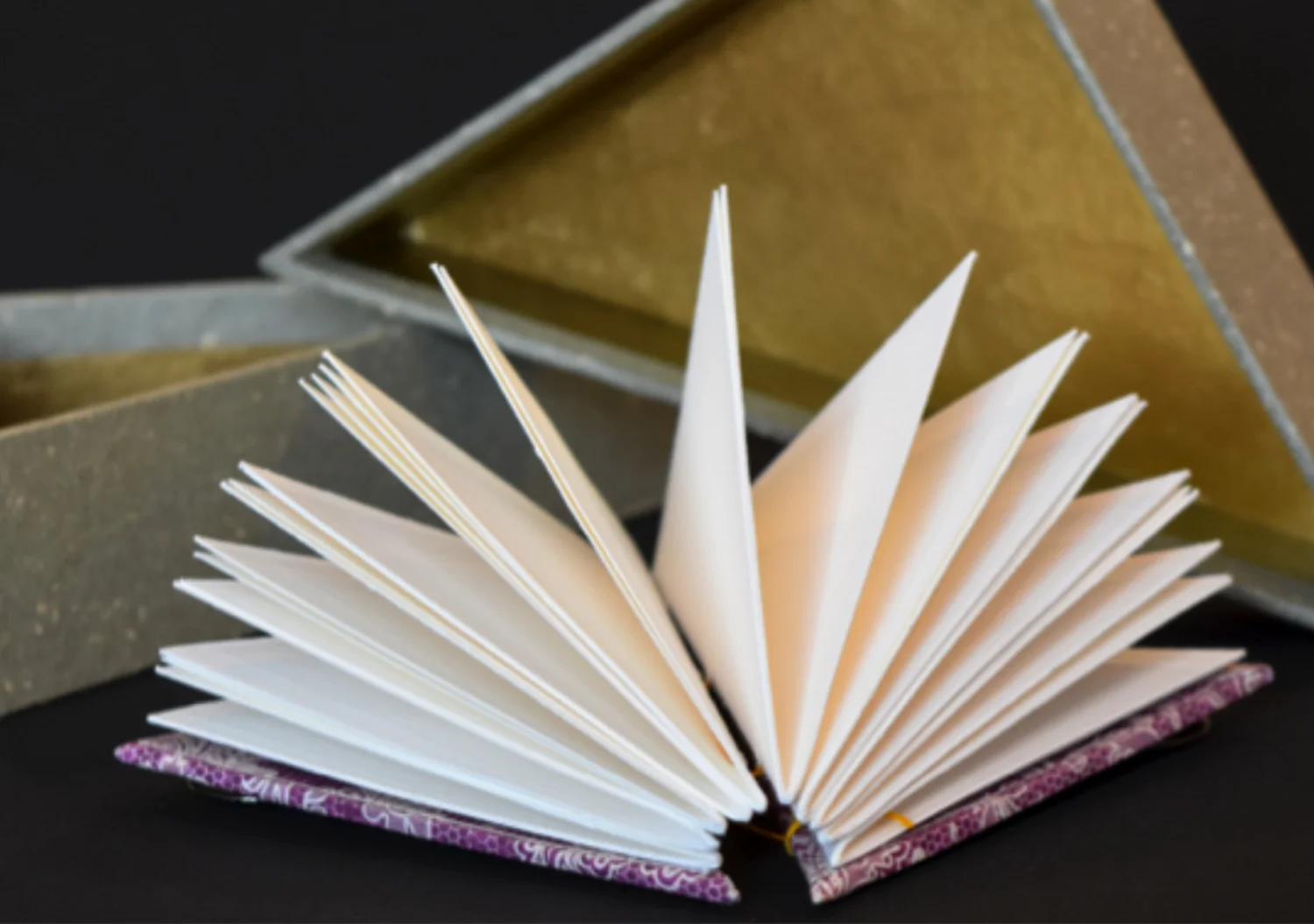 trianglebook2web-crop.jpg