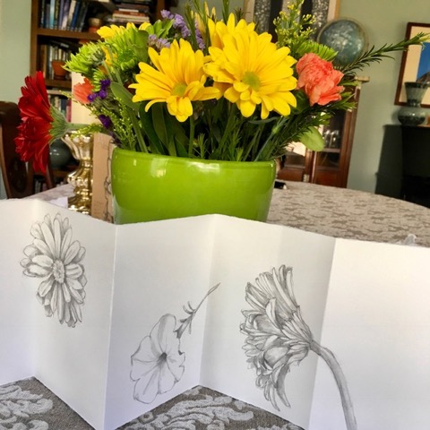 LaFazio flower drawings in pencil.jpeg