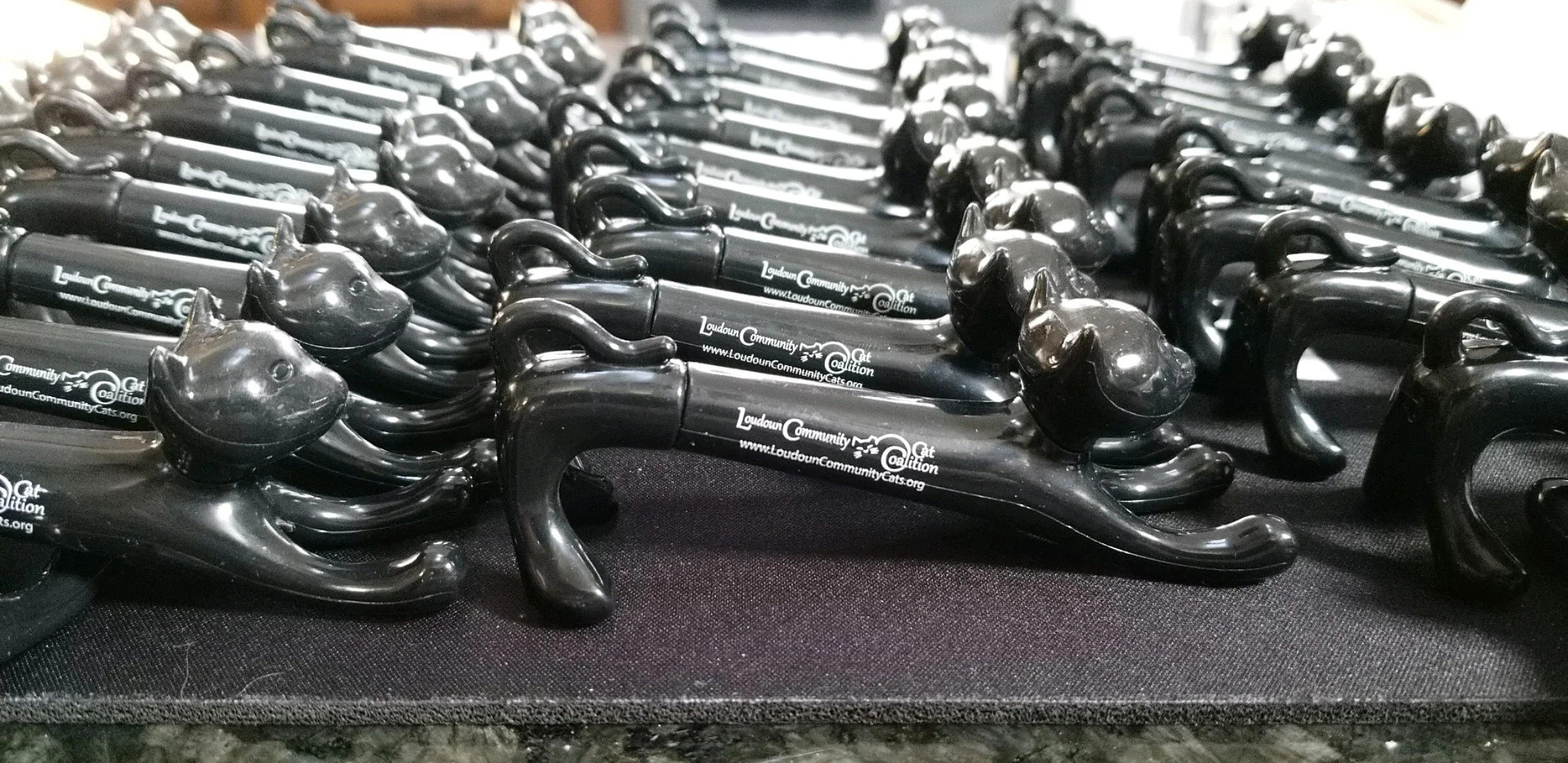 Cat Pens.jpg