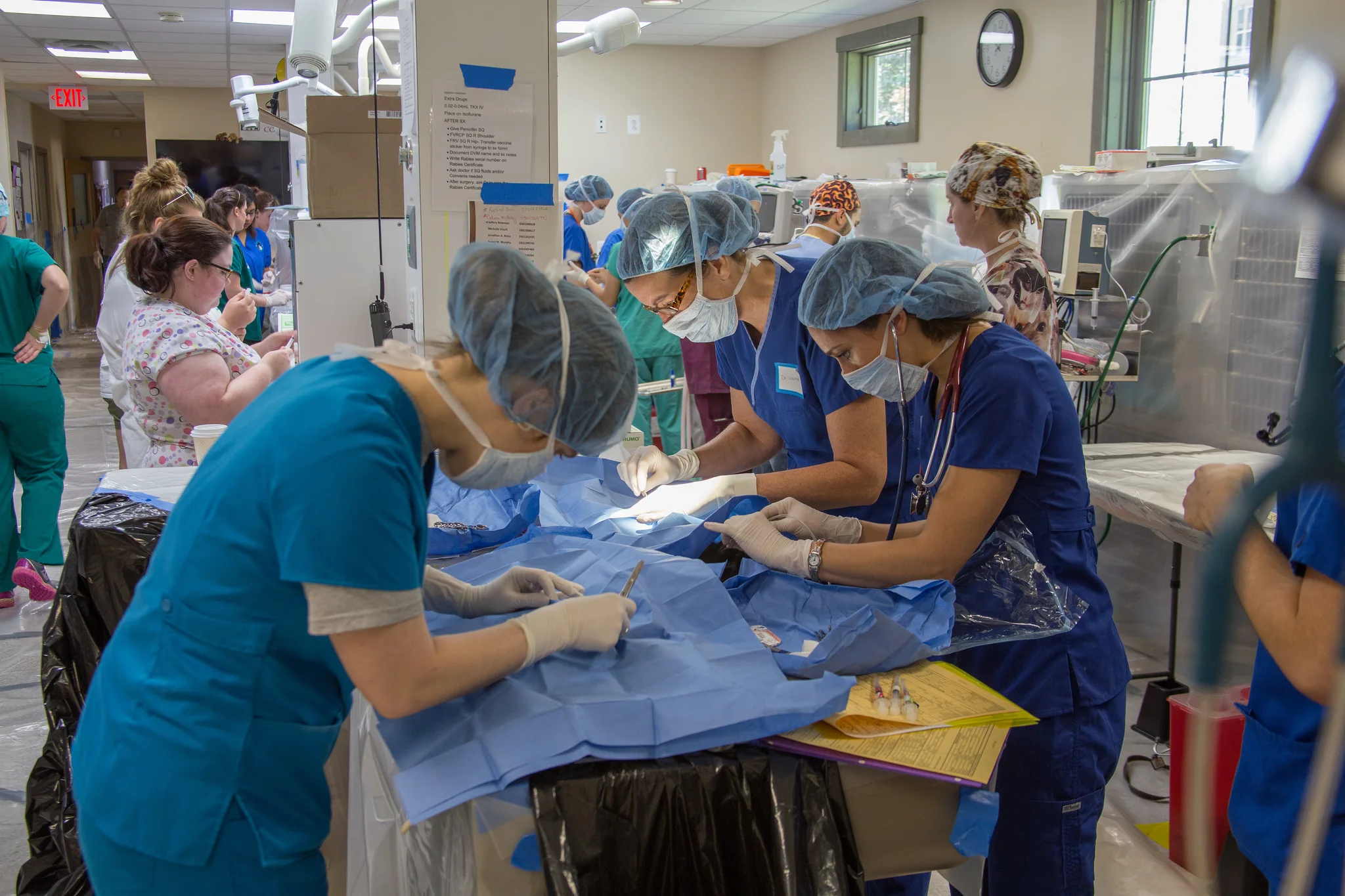 Spay/Neuter Clinics