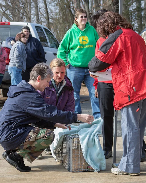 Spay Neuter Clinic for Community Cats