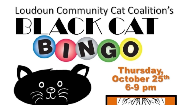 Black Cat Bingo