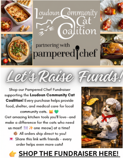 LC3's Pampered Chef Virtual Party