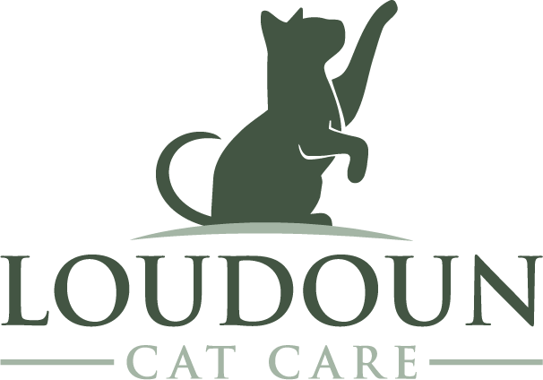 Loudoun-Cat-Care logo 2026.png