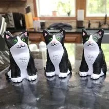 LC3 Cat Squeezie.jpg